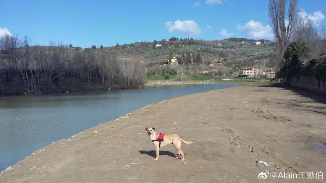 1725789650954036659.jpg 1725789305567.jpg